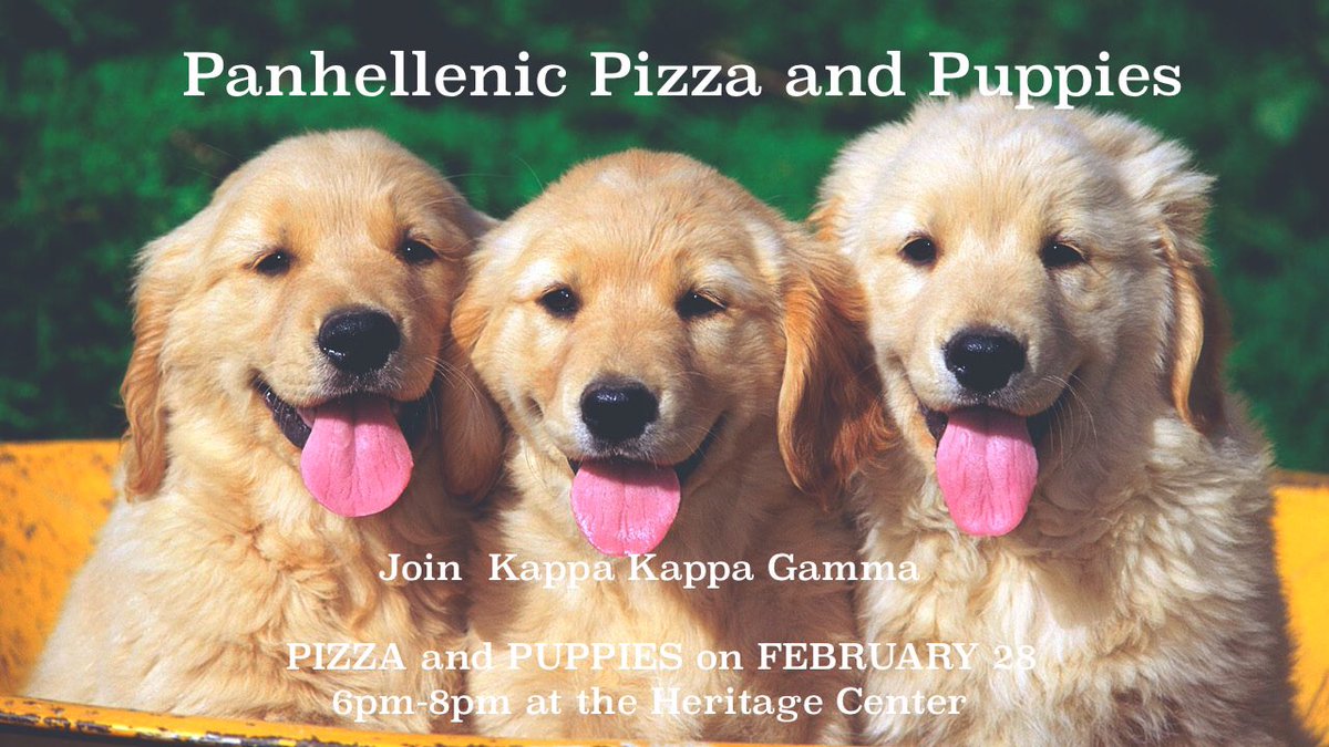 Pizza and Puppies is a thing!