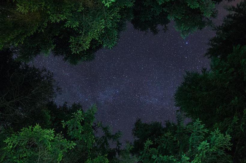 ForestryEngland's tweet photo. Take a photo of the night sky from the forest and share with #ForestStar for chance to win a Β£100 Amazon voucher: https://t.co/opsx8bQemj https://t.co/9KC4vlmZrM