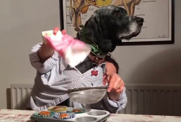 SBCakeOff's tweet photo. Our promo video is here! https://t.co/oQZB2eGFKA
RT for prizes and donate to @vetsincommunity ! https://t.co/ipWL7wFpFB