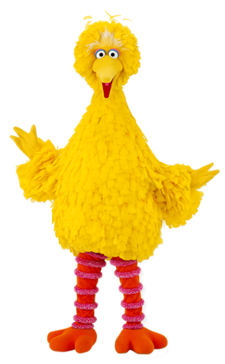 Ezekiel8cheever's tweet photo. The bird Abby saw @abigailwlliamss https://t.co/mQn91QnMjW