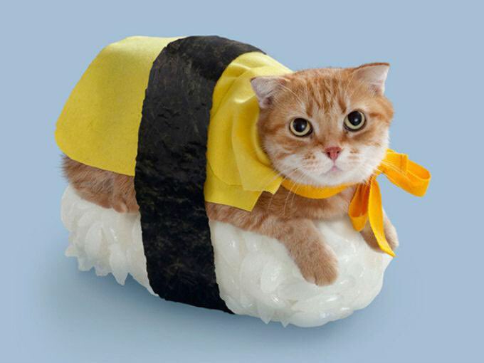 Lunes de #carnaval y nuestras mascotas no paran de disfrutar.
Feliz semana #PetLovers 💜
#PetsPro #LasMercedes #MascotasFelices