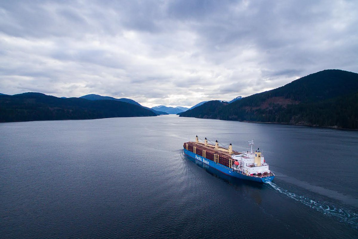 GregorCraigie's tweet photo. Expect more images like these (from @TJWattPhoto @AncientForestBC) before May election: bulk carrier taking #rawlogs to Japan. #bcpoli https://t.co/sgIV3ERnBG