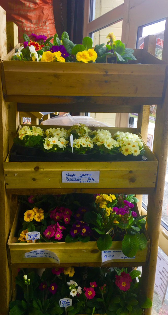 StoreCelt's tweet image. In the shop now 🥔🥔🥕🥕🍠🍠
   💐🌹 🌸🌺🌷Yn y siop nawr