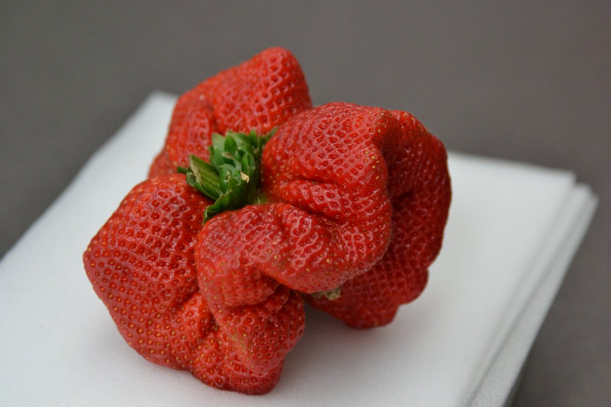 Guinness World Records Happy Nationalstrawberryday The World S Heaviest Strawberry Weighs A Whopping 250 Grams Check It Out T Co App0oneeoo T Co Rwnauvaz