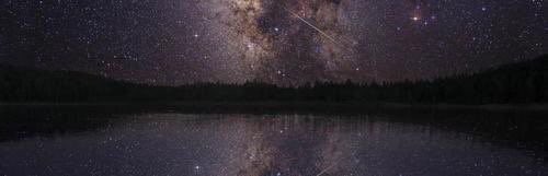 just Art. tweet media