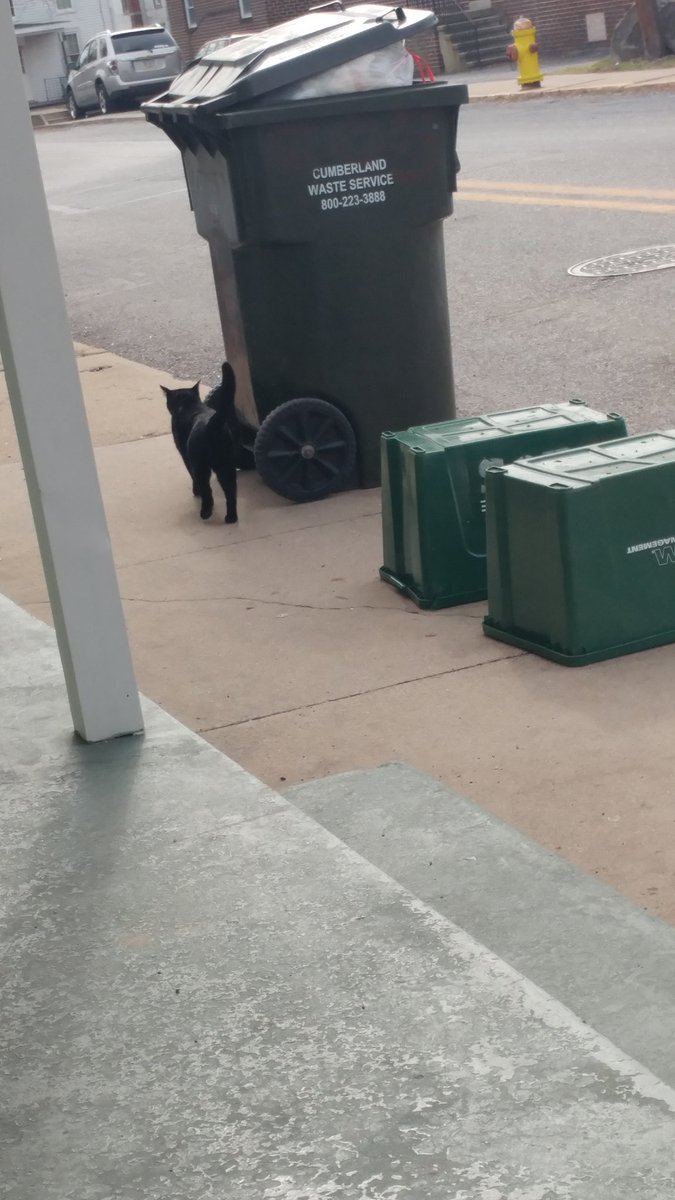 IsChinoOutside's tweet photo. Just taking out the trash https://t.co/V6BhI2VVno