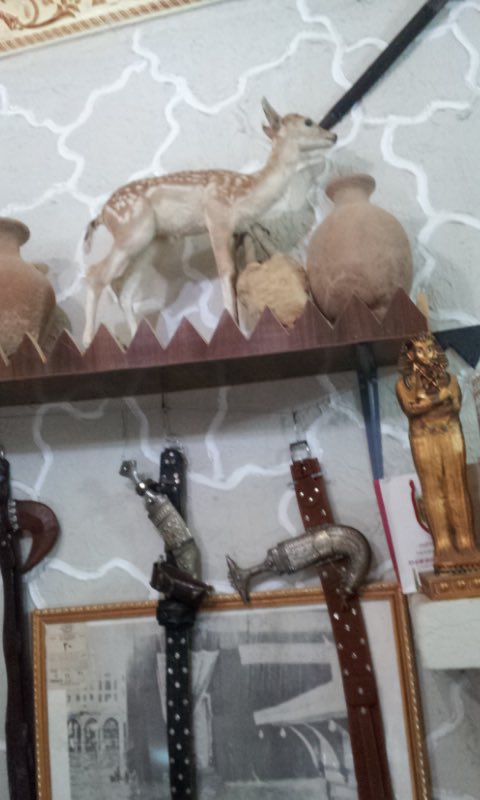 ijaz_017's tweet photo. متحف العالية في أحد المسارحة لصاحبة أ/ محمد محسن الدغريري مكون من غرفتين تضم مجموعات كثيرة من الادوات الأثرية والقطع التراثية 
#متاحف_جازان https://t.co/Cx4TMQf9eO