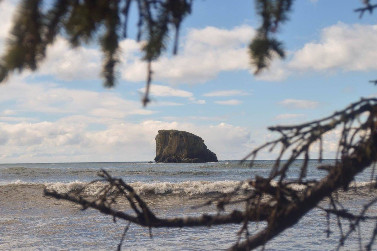 MacyLeeMarquez's tweet photo. #pnw #pnwlife #wanderlust #traveler #hikin #washington #upperleftusa #upperleft #pnwonderland #pacificocean #olympicnationalpark #seastacks https://t.co/QsyVGJdC8K