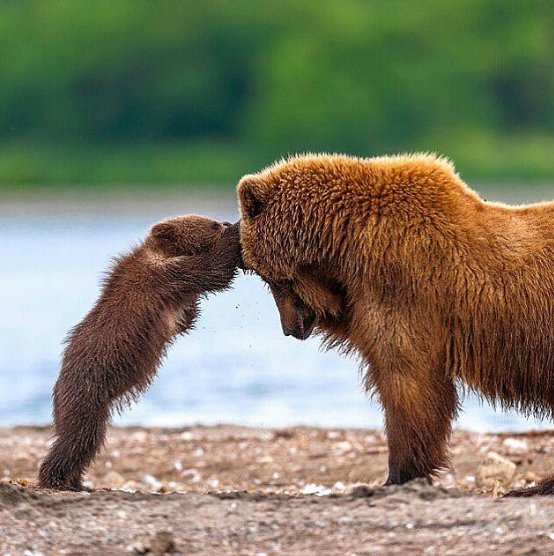 The wonders of the sense of smell… we smell with our brains! Our reaction to scent is immediate &amp;focuses on emotion rather than the rational