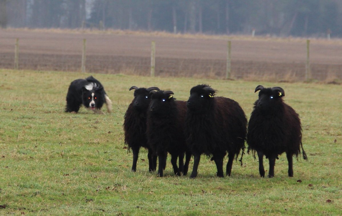 Welcome to the Darkside