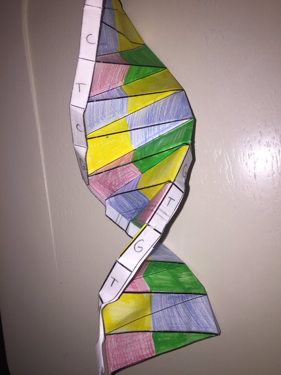 FLHS_BD's tweet photo. C: Cytosine 
A: Adenine 
T: Thymine 
G: Guanine https://t.co/PHGwHMHvFq