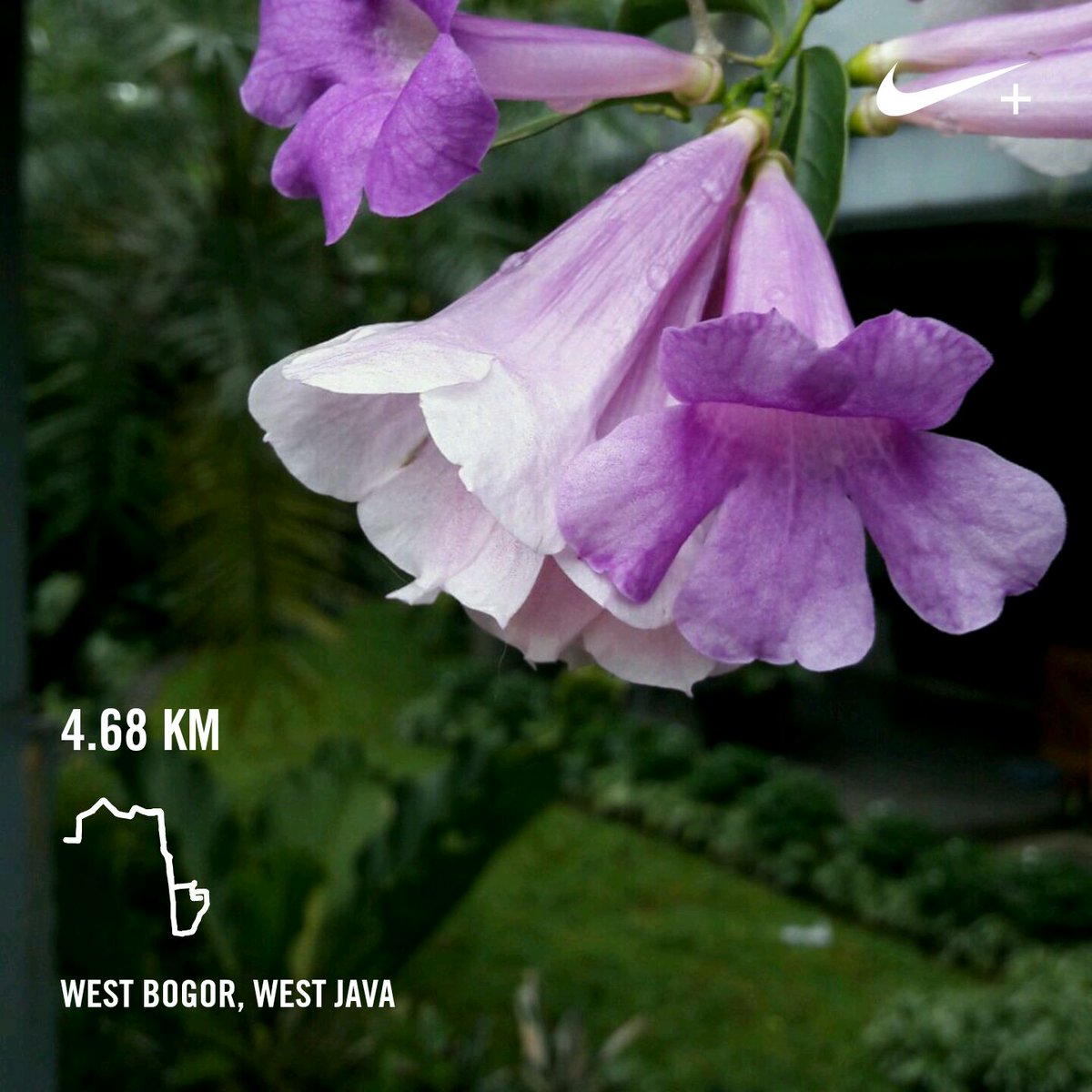 Ran 4.68 km with Nike⁠+ Run Club