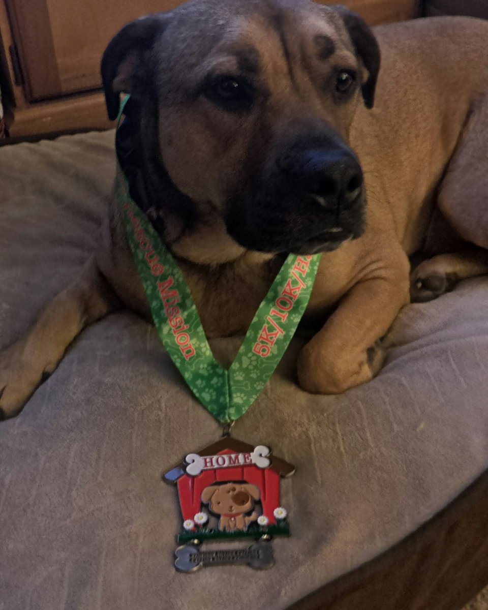 Axle_and_Me's tweet image. So glad we are able to run to support Axle's rescue, @PuppyRescueMis 
#puppyrescuemission #virtualstrides #runningforthedogs