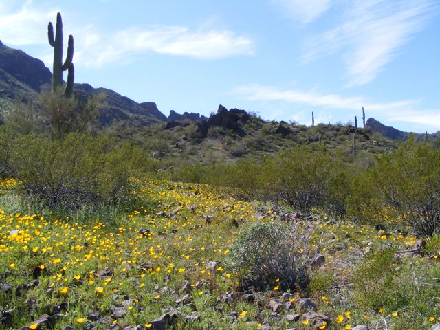 AZStateParks tweet picture