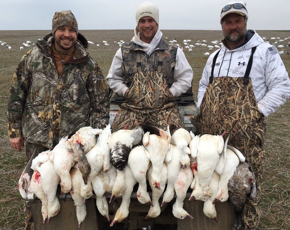 GremaudBrent's tweet photo. The last two hunts I can't complain about. #FowlPurge #Snows17 @jwolf7447 @JayReiners @adamlt1787 @NickGremaud @hevishot https://t.co/eLAR3tho1T