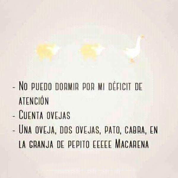 _Mamen_Gass's tweet photo. ... dulces sueños https://t.co/qh12gTZORp