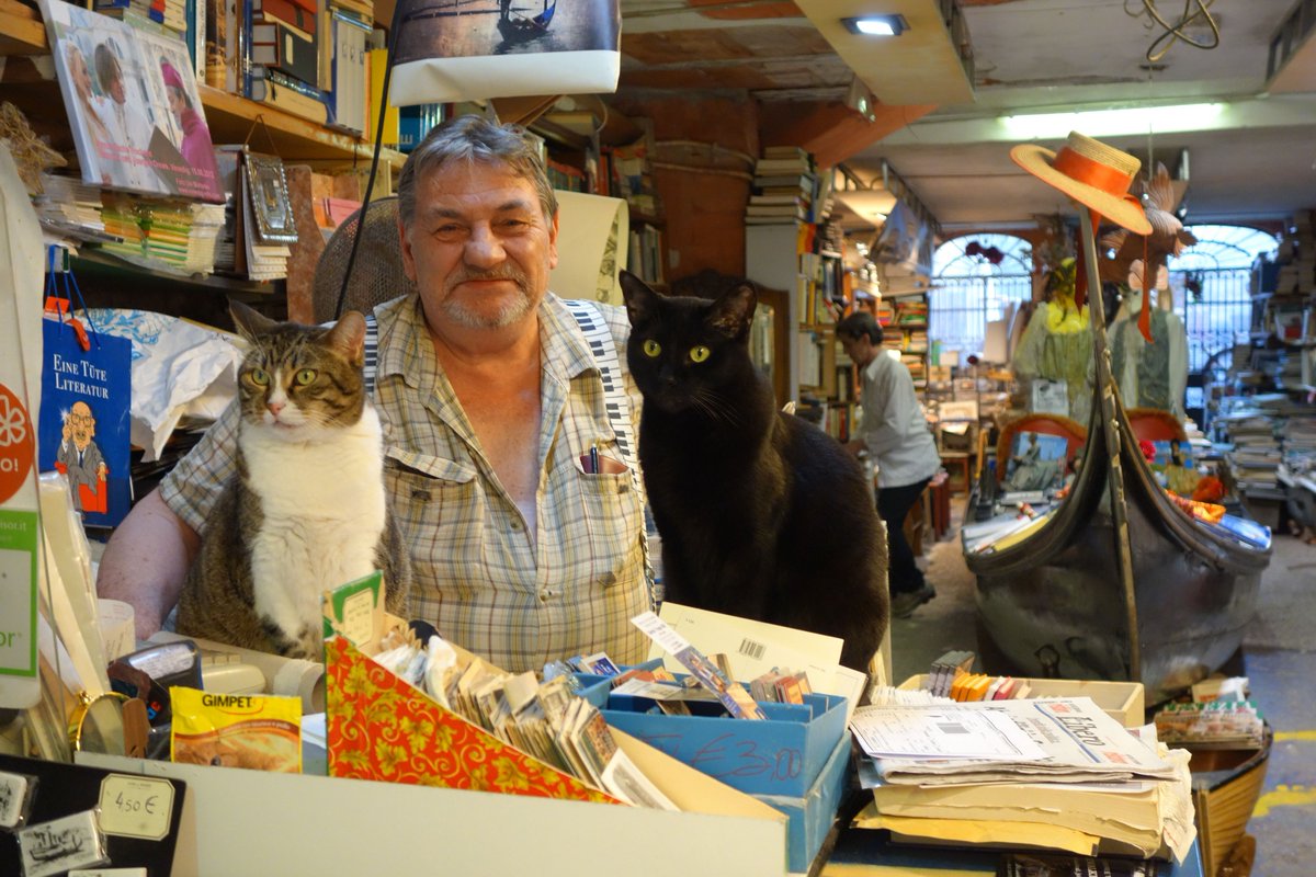 SketchesbyBoze's tweet photo. the Libreria Acqua Alta bookstore in Venice floods constantly. the many cats who live there escape by napping on books. #careergoals https://t.co/h38fR6jO5z