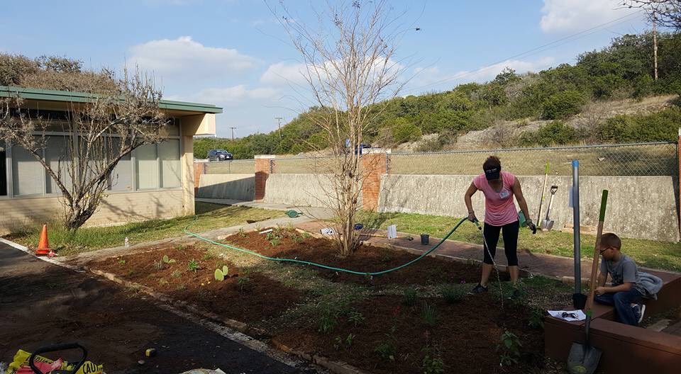 teacherkueger's tweet photo. Butterfly way station is complete. Project ACORN is on fire at Helotes Elementary. #helotesstrong @NISDElemScience @NISD https://t.co/dtmwhfO6Ma