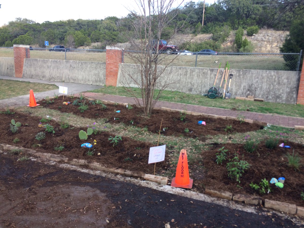 teacherkueger's tweet photo. Butterfly way station is complete. Project ACORN is on fire at Helotes Elementary. #helotesstrong @NISDElemScience @NISD https://t.co/dtmwhfO6Ma