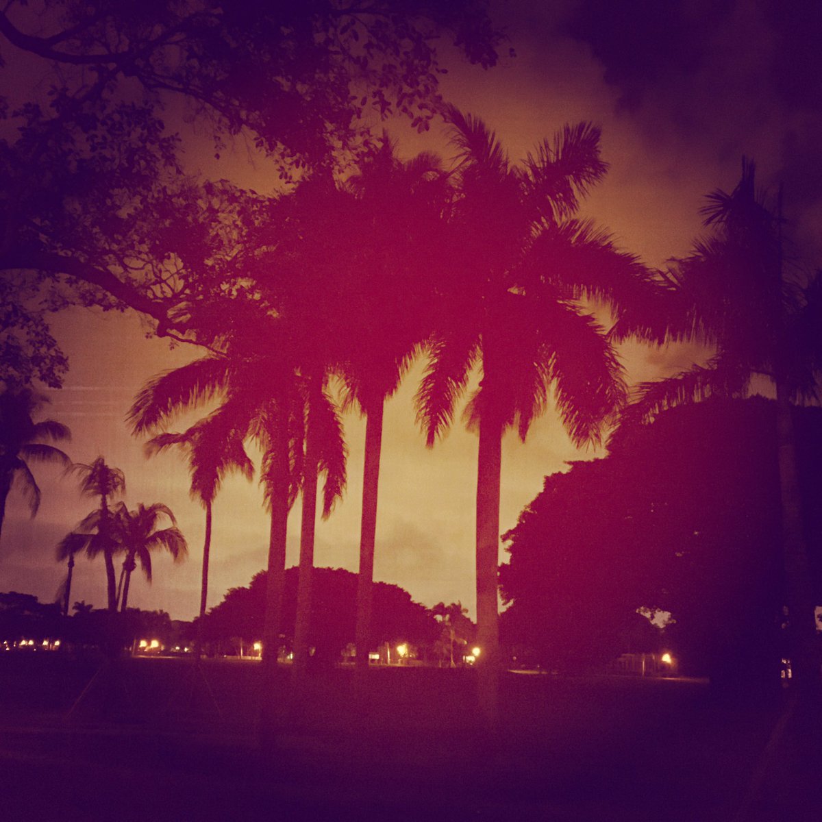 OmerPardilloCid's tweet photo. La noche @coralgables #granadagolfcourse https://t.co/oy9DQSs2BK