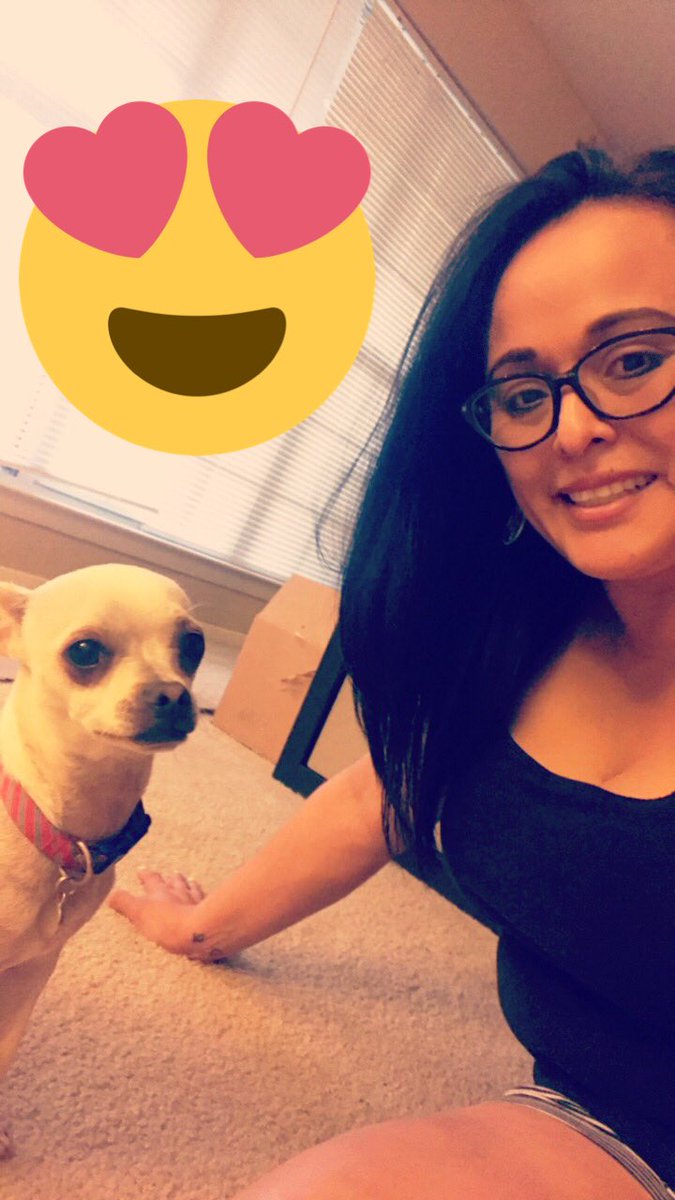 MelindaPIO's tweet photo. Oscar is working on his #selfie's! #DallasPets Oscar is looking for a home. #AdoptDontShop He's available! #DawgProject @DallasShelter https://t.co/HisjlbVbE0