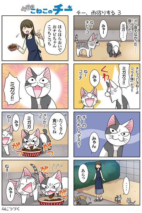 今日のこねこのチー を含むマンガ一覧 18ページ ツイコミ 仮