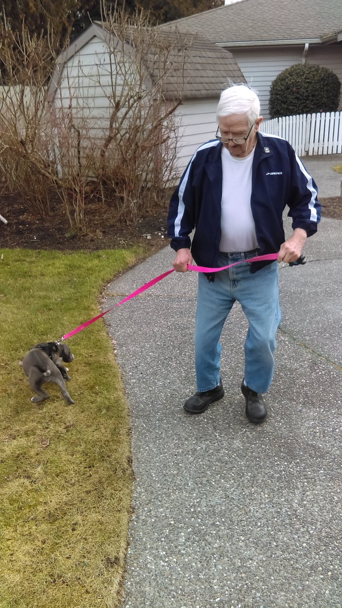 Hpburlingtonlec's tweet photo. We had a little visitor last week. Melvin enjoyed taking him for a walk in our courtyard. #frontierculture @HPBurlingtonMC https://t.co/HpqKqdxpvP