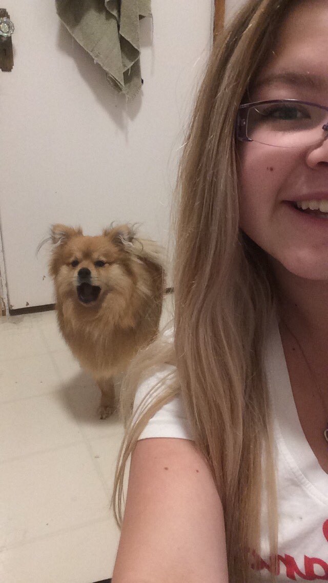 _jflynn23's tweet photo. It's been 4 months since you took your last breath and I miss you more than anything in the world #missyou 😔🐶 https://t.co/girtdd4uJn