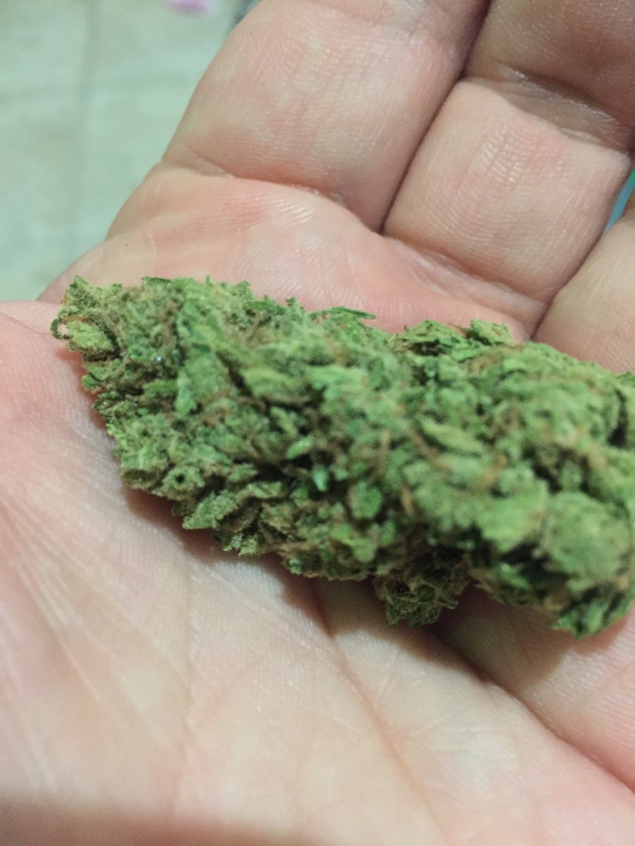 420est's tweet photo. Handful of happiness https://t.co/hL7OISzn2T