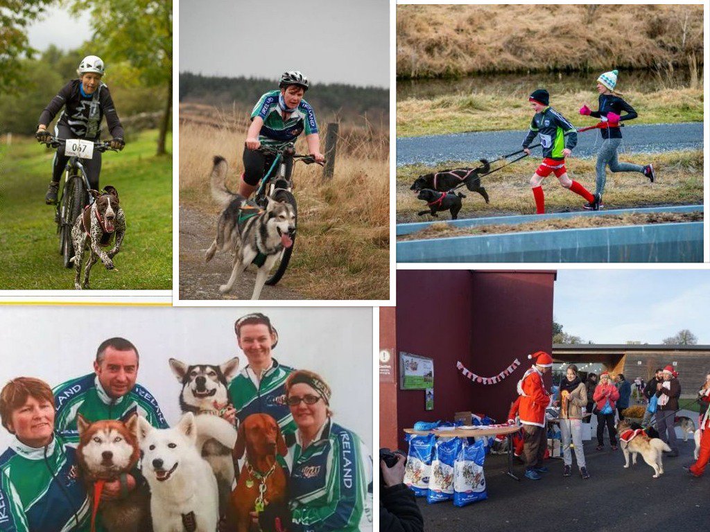 Nice little collage of pictures from previous Canicross <a href="/CanicrossIre/">Canicross Ireland</a> events