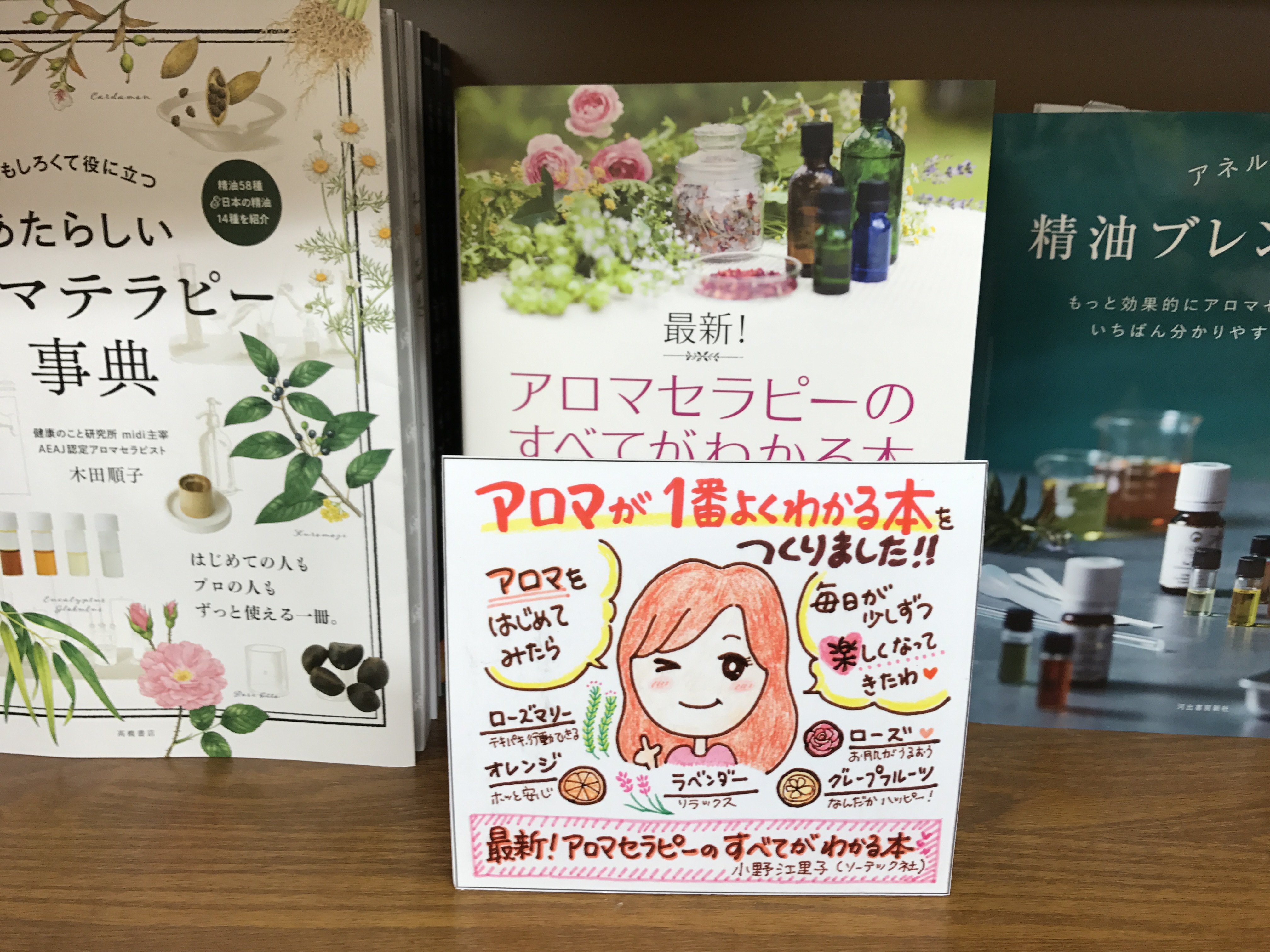 中古】 大検合格ガイド 平成8年度/池田書店（豊島区）/池田書店