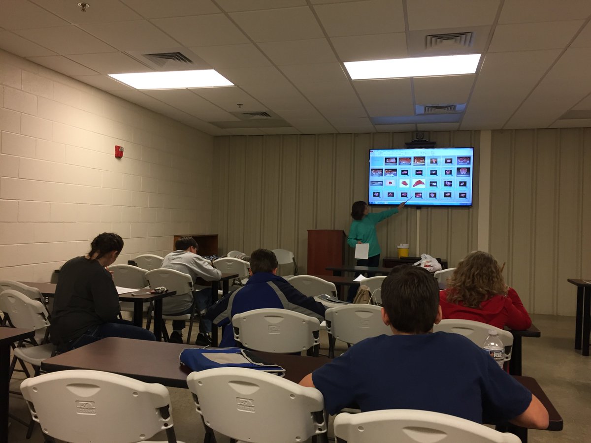 RutherfordCo4H's tweet photo. Busy night at the Extension Office - Archery, Meats Judging Practice and Chick Chain. #4Hlivestock #4H https://t.co/8z0S2OqRef