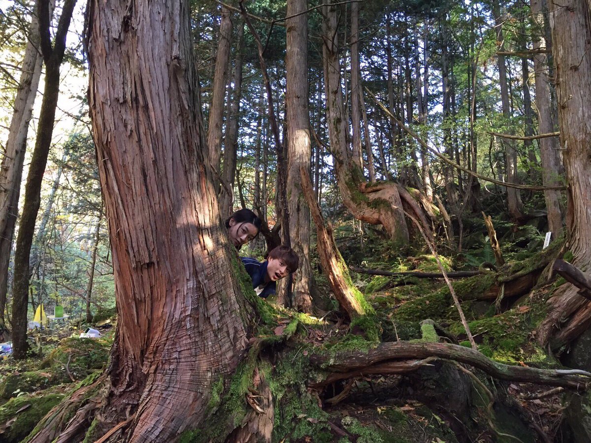hirunaka_movie's tweet photo. #ひるなかアルバム
今日の1枚はこちら👇

「ぴょこ。森の中の住人です。」 by #永野芽郁

明日は #三浦翔平 くんです📸
#ひるなかの流星 #3月24日公開
#白濱亜嵐 https://t.co/M2Q12XykKH