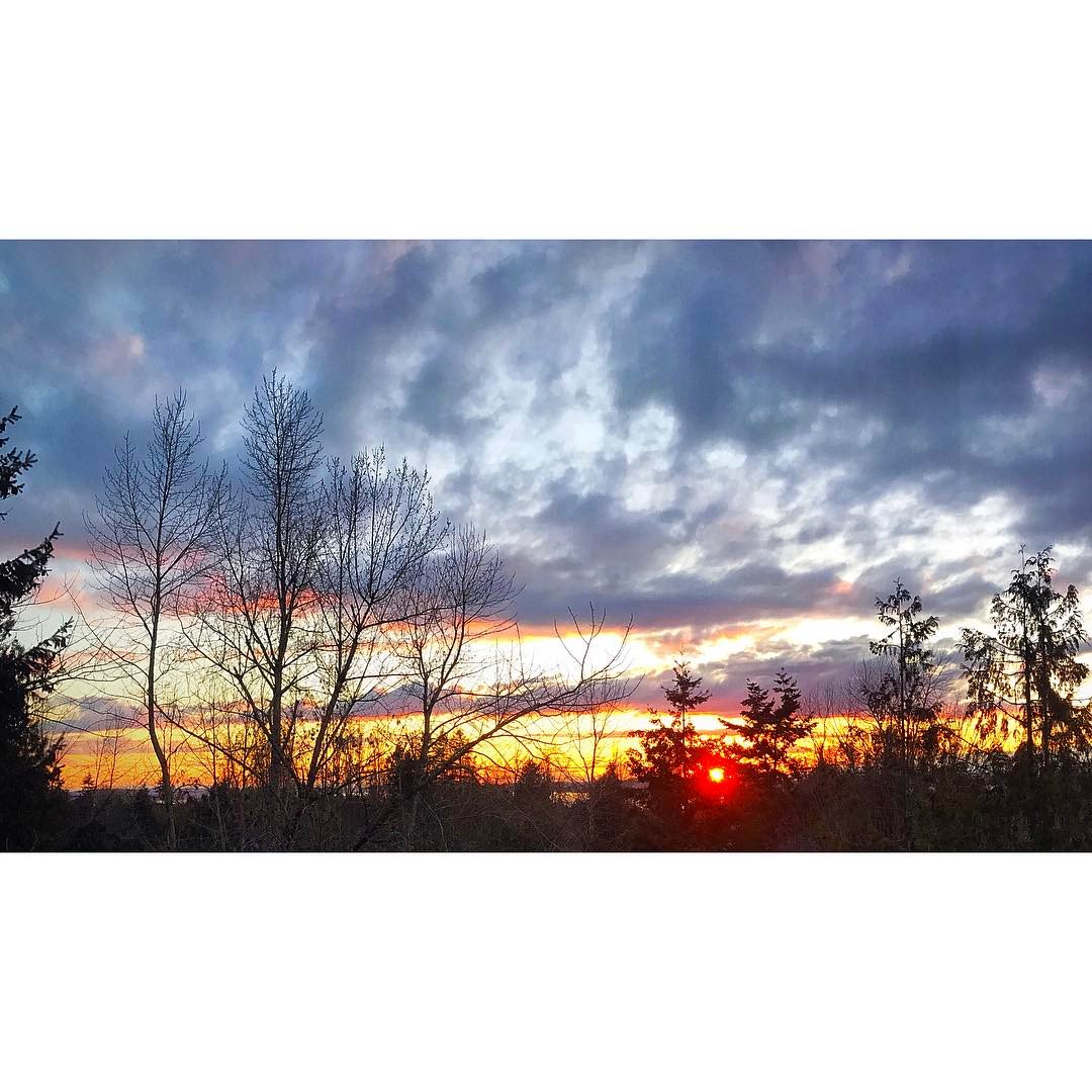 The #PNW is too rainy, they said. It rains all the time, they said. (PC: IG user huckleberry_ringo)