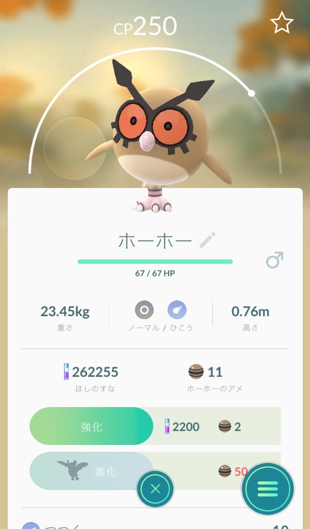ホーホーの足が2本あるの初めて知った T Co Khhrsxra0a Twitter