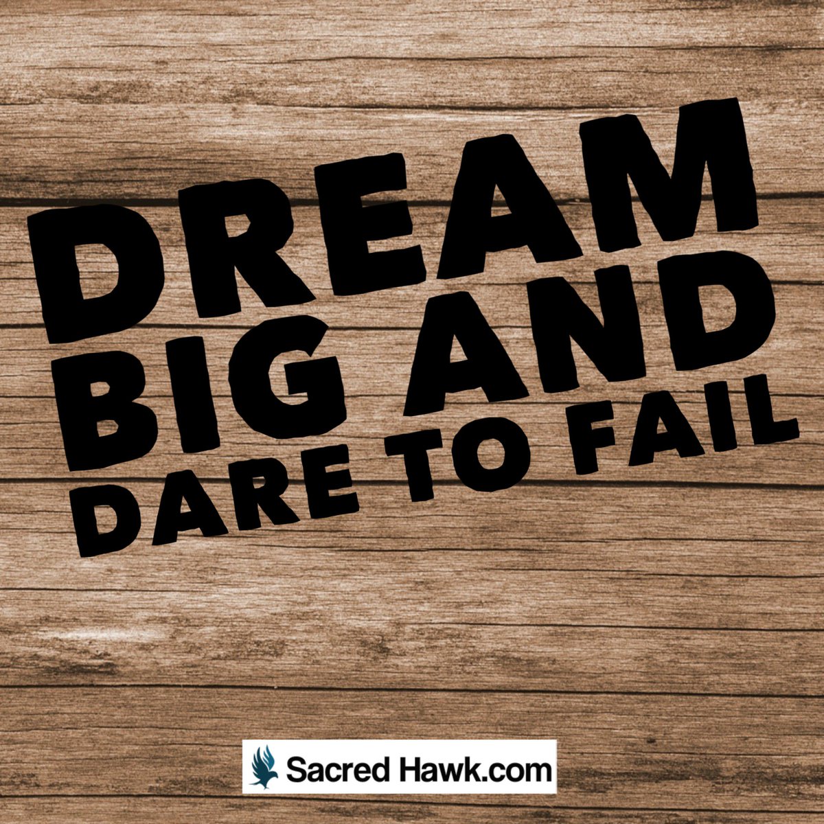 sistersintheraw's tweet photo. Dream big and dare to fail! #DreamBig #SacredHawk #RobynLev #SpiritualMinister #Healing #FaithHealing #CrystalHealing #Lymes #Spiritual https://t.co/iDgSMSfzu6