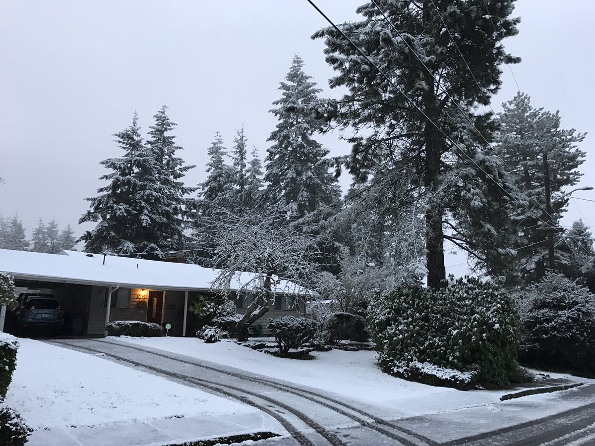 fezinhapgb's tweet photo. Let snow... https://t.co/lKLZrQRbDi