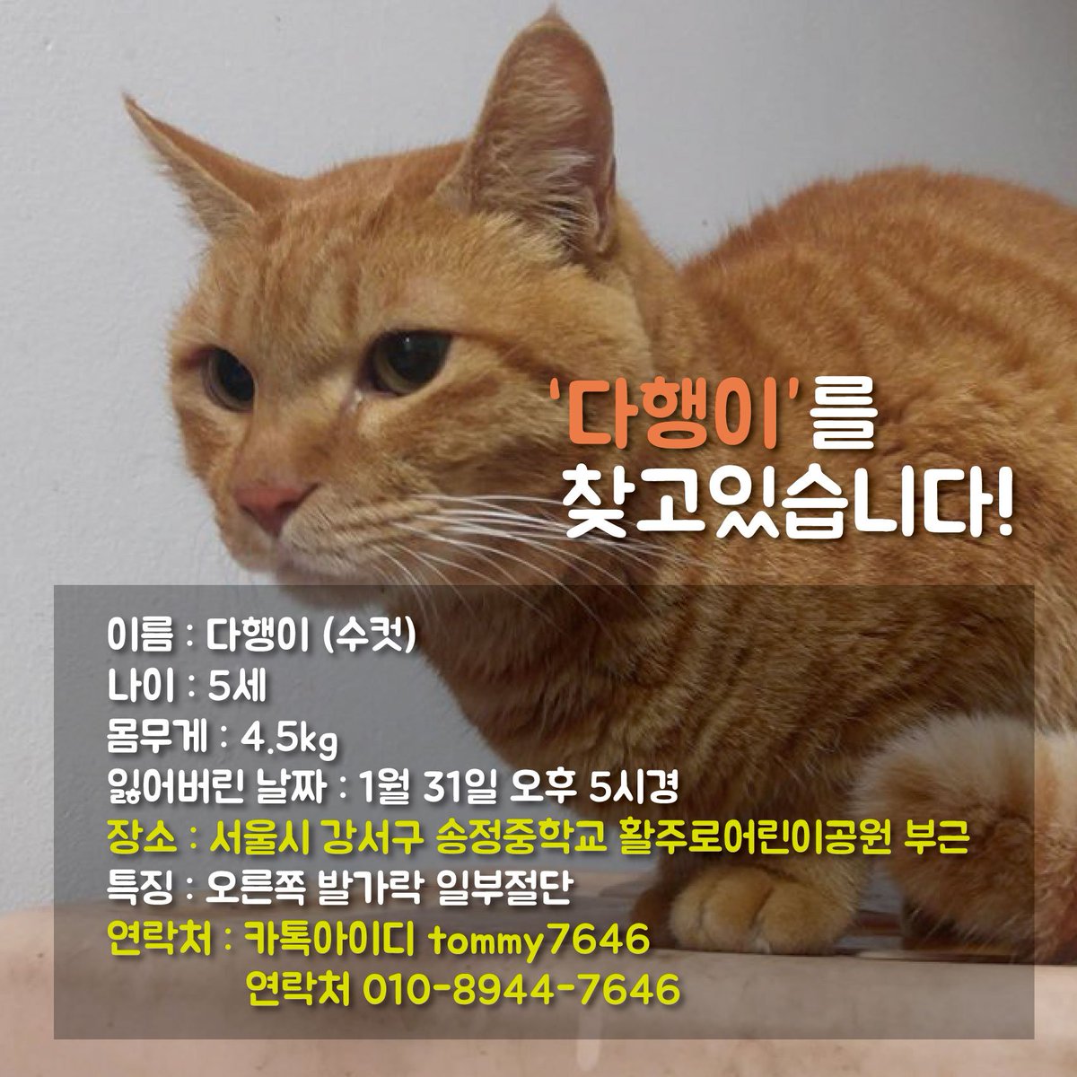 bucheon4u's tweet photo. 하루빨리 다행이를 찾을수 있도록 최선을 다하겠습니다!
부천시는 강서구의 협조를 얻어 반려동물지원센터와 함께 다행이가 살고 있었던 반려동물지원센터 주변을 수색하는 등 다행이를 찾기위해 여러방법을 강구하고 있썹.
트친님들~다행이를 찾을 수 있도록 도와주썹 https://t.co/CmTFPWPazG