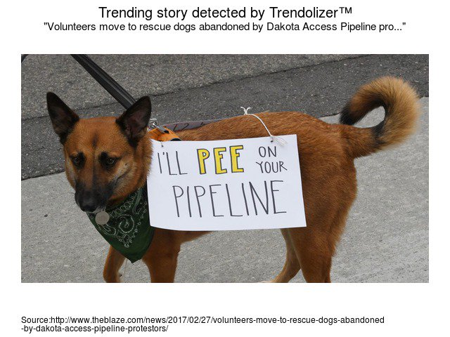 Animalolizer's tweet photo. Volunteers move to rescue dogs abandoned by Dakota Access Pipeline protestors #KFYR-TV https://t.co/EsmflUgs8m https://t.co/CKSUmBFfW2