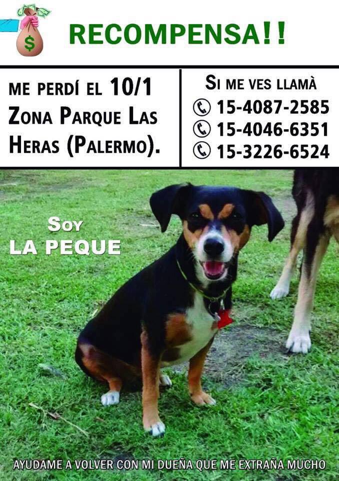 flomolinari's tweet photo. @InfobaeAmerica por favor me ayuduas a Df con un RT 🙏🏻😊Millones de gracias!   https://t.co/dM7x9qaW3U https://t.co/uQmGuCakso