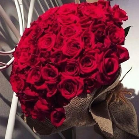 ssssf_00001's tweet photo. #صباح _الورد https://t.co/boKaIKccR8
