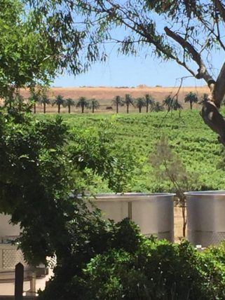 WAVEJourney's tweet image. #Travel to #Australia for a Swinging Summer of Golf &amp;amp; Adventure buff.ly/2liz797 #TBIN