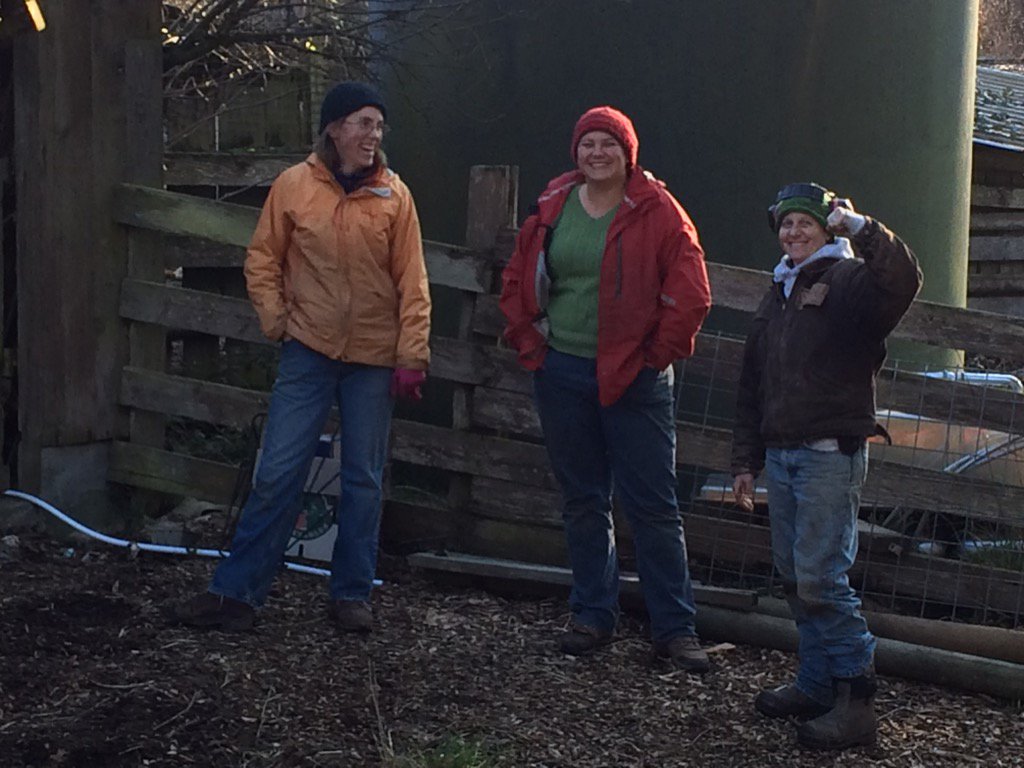farmerwheat's tweet photo. Step three: workers survey destruction! https://t.co/5XD69jPSSE