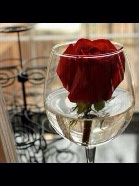 🍃..
إن #الواو #والراء #والدال 
لا يُشَم منها رائحة #الورد
فكن بالخير موصوفًا 
ولا تكن للخير وصَّافًا ...🍃
-
#ليتهم_يقرؤن
#ومضة_حرف