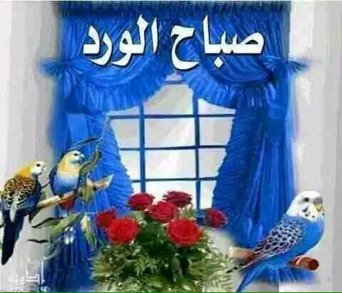 janah__95's tweet photo. https://t.co/9YMrtm1vrq