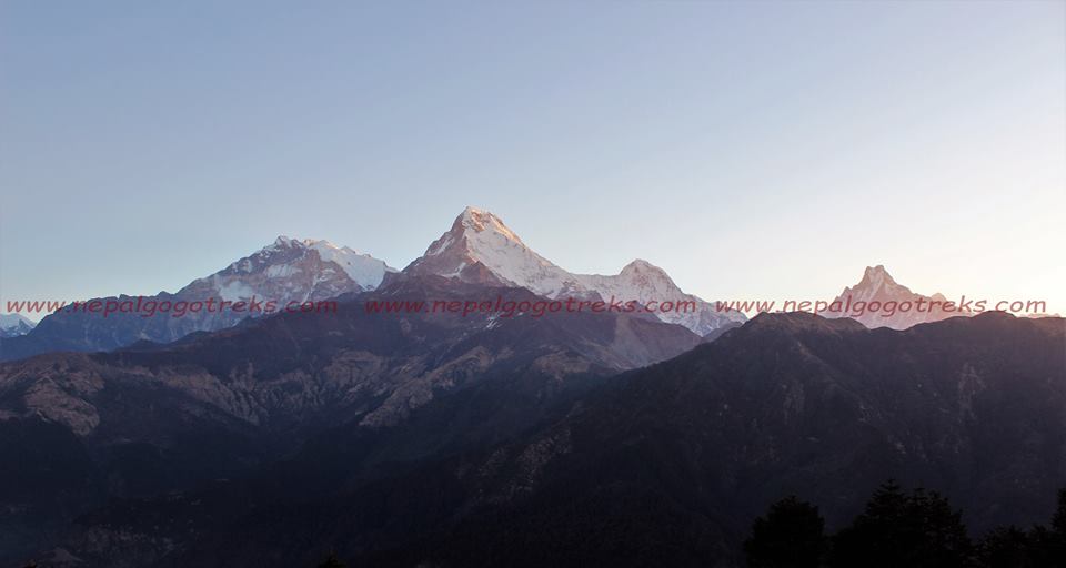 NepalGoGoTreks's tweet photo. #Ghorepani #Poonhill #Trek 
https://t.co/OfvRXQcipL https://t.co/C7v4IvlG8B
