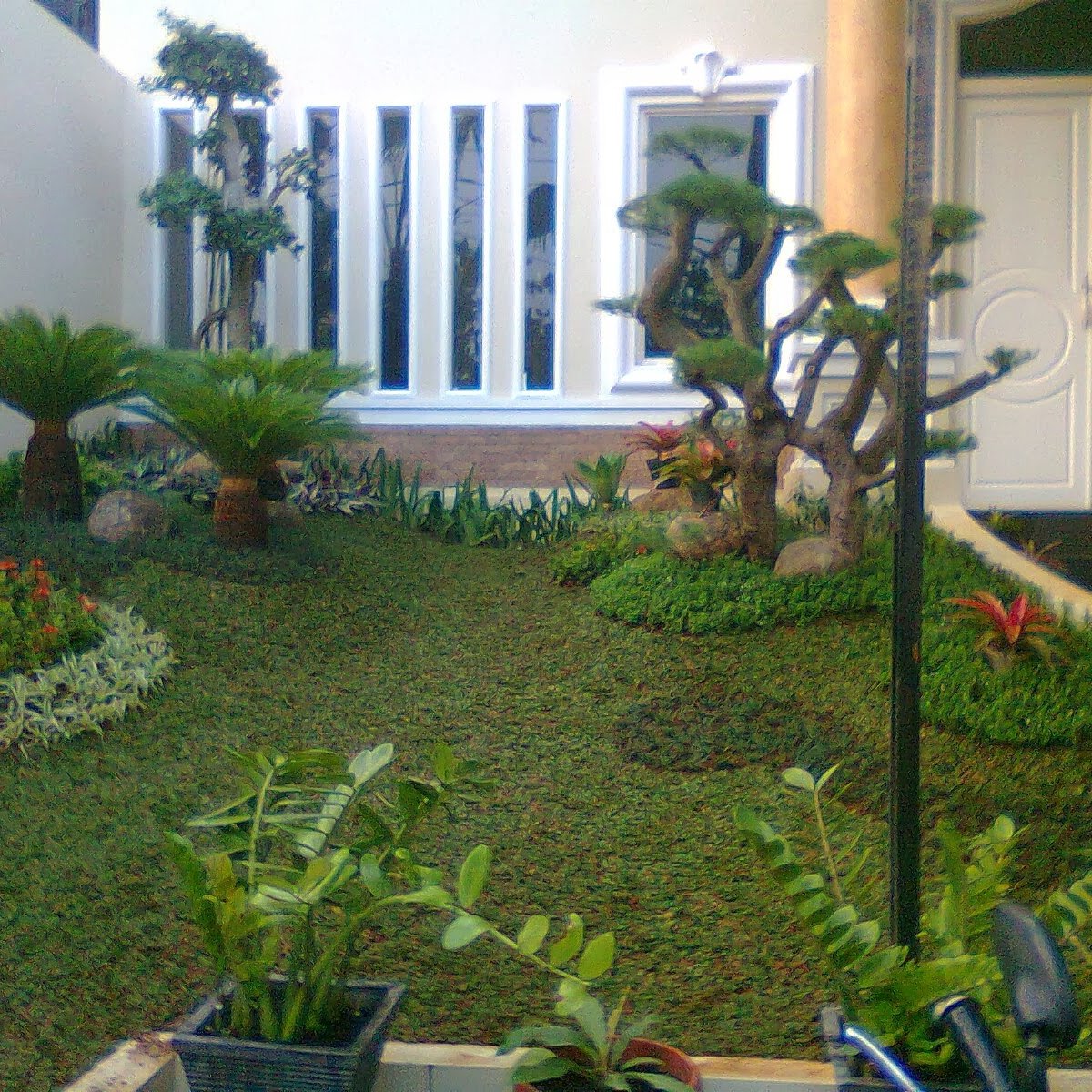 TarmudiRoy's tweet photo. Sahabat jika anda berminat ingin bikin taman hubungi.WA.081316047952 pak Tarmidy https://t.co/7tCHaLU8kV