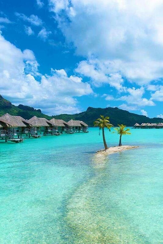 🇨 🇦 🇷 🇱 🇴 🇸 (@carlospitt9) on Twitter photo 