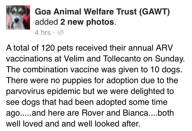 GAWT_Goa's tweet photo. At our last Anti #Rabies Meetings in #SouthGoa 120 #AntiRabies vaccinations were given 2 local pets!  #OneHealth https://t.co/Pq2S44CFmS