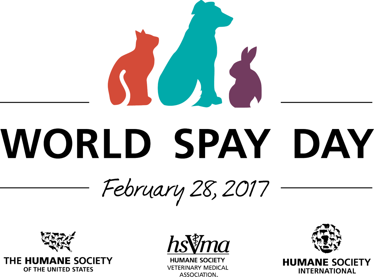 AmyRoseKathryn's tweet photo. Find a low-cost spay/neuter program near you #WorldSpayDay https://t.co/RPis8M3Yze https://t.co/5unPoIqF9d